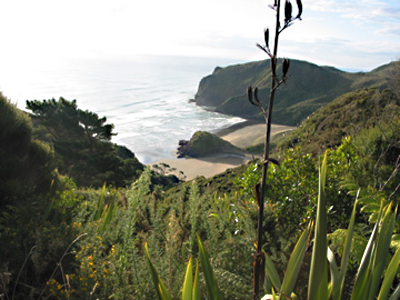 Overlook north of Auckland