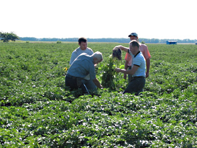 Sampling in the field