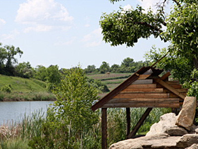 The countryside of Ukraine near Uman, Cherkaska Oblast Ukraine.