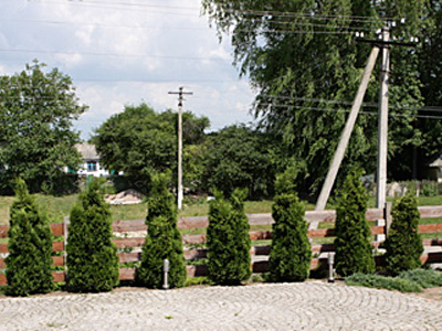 The countryside of Ukraine near Uman, Cherkaska Oblast Ukraine.