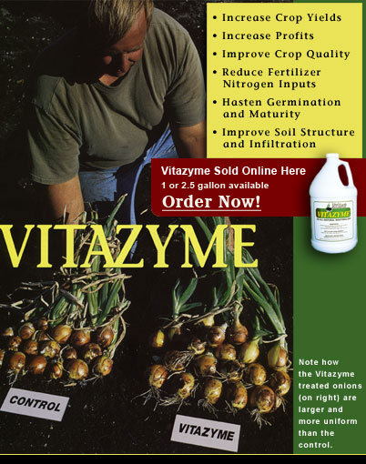 Vitazyme increases yield and reduces nitrogen input