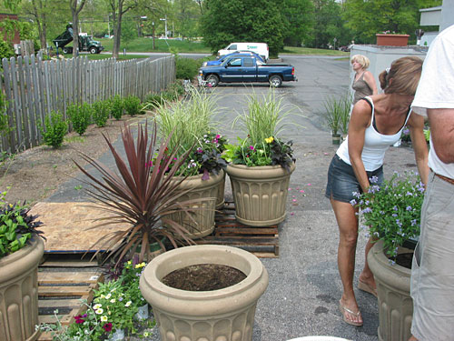 Making Potted Arrangements