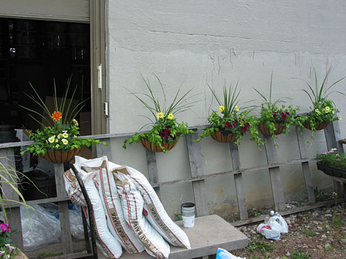 Making Potted Arrangements