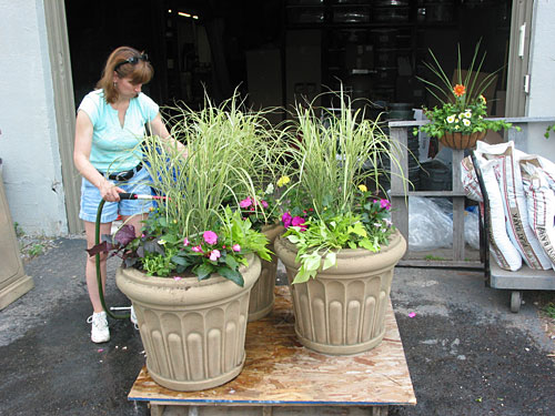 Making Potted Arrangements